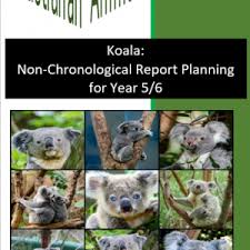 If you fail, then bless your heart. Koala Bundle Non Chronological Report Planning And Quiz For Year 5 6 Tour2teach