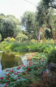 Villa Les Cedres Au Cap Ferrat Un Jardin Botanique Mythique La Terre Est Un Jardin En 2020 Jardin Botanique Jardin Exotique Monaco Petits Jardins Tropicaux