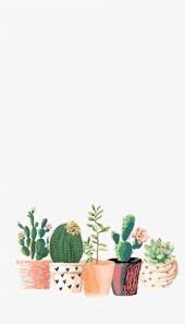 48 Trendy Succulent Background Iphone Cactus Print Succulents Wallpaper Iphone Background Iphone Wallpaper Download hd aesthetic wallpapers best collection. 48 trendy succulent background iphone