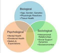 The biopsychosocial model has been criticized that it does notconstitute a scientific or philosophical model, it does not provide an answer to the crucial question of how the biological, psychologicaland social variables interact in the disease's expression, that it does not provide guidance on the exact time of itsapplication and, finally, that it allows for a wide range of interventions without providing specific guidelines of a concrete therapeutic scheme. 2 An Illustration Of The Biopsychosocial Model Comprised Of Download Scientific Diagram