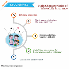 Enjoy policy benefits till 99 years of age with whole life policy term option. Different Types Of Life Insurance Explanation The Ultimate Guide