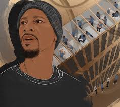 See HCN's best illustrations from 2021