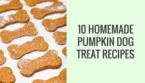 Low fat and low calorie homemade dog treat recipe. 10 Homemade Dog Treat Recipes Made With Pumpkin Puppy Leaks