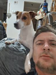 Dalpark Ext 9 Dalpark Ext 9 Dalpark Ext 9 Dalpark Ext 9 Hi if someone seen  this dog his name is Jack in Dalpark ext 9 area. 0763042990