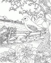 When it gets too hot to play outside, these summer printables of beaches, fish, flowers, and more will keep kids entertained. Coloring Pages