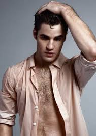 As a solo artist, his 2017 ep homework debuted at #1 on billboard's heatseekers. Darren Criss Picture The Hollywood Gossip