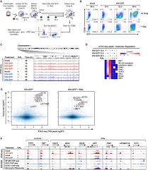 La graphie avec trait d'union est plus fréquente. Reshaping Of The Dendritic Cell Chromatin Landscape And Interferon Pathways During Hiv Infection Sciencedirect