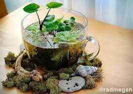 Get professional recommendations about how to enhance your diy indoor teacup succulent garden while highlighting your type. 19 Cute Diy Teacup Garden Ideas Creative Teacup Planters Balcony Garden Web