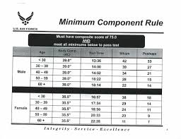 2018 Air Force Physical Fitness Test Standards Usaf 9346980