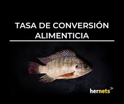 Referencia
