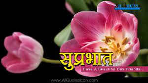 Hindi Good Morning Quotes Wshes For Whatsapp Life Facebook Images Inspirational Thoughts Sayings Greetings Wallpapers Pict Flowers Flower Images Tulips Flowers