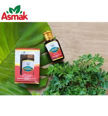 Minyak herba sinergi kopi sehat salah satu sinergi herba hni hpai sebagai obat herbal asma. Minyak Herba Asmak 50ml Suri Natural Parenting Nursing Wear Breastfeeding Babywearing