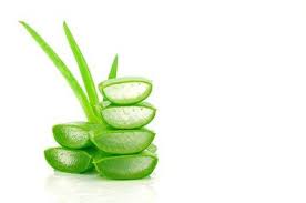Aloe vera eignet sich innerlich angewendet auch zur entgiftung des körpers. Aloe Vera Saft Anwendungsgebiete Wirkung Und Nebenwirkungen