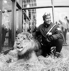 How Long Will Lionshead Last Vaildaily Com