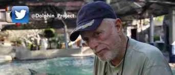 Delivering vaquita damsels to the ogre: U.S. Navy dolphins sally forth