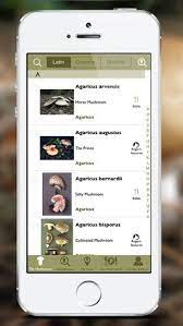 For install the mushroom identifier app for windows, at first, you need to download the bluestacks software on your device then install the. The Best Apps For Mushroom Identification And Why A Book Is Better Freshcap Mushrooms