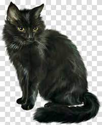 Long Furred Black Cat Illustration Cat Black Cat Halloween Horror Transparent Background Png Clipart Black Cat Illustration Grey Tabby Cats Cat Background