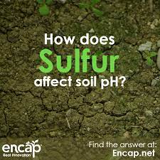 Helps nitrogen (n) to be used more efficiently. How Does Sulfur Affect Soil Ph Sulfur Garden Gardening Soil Flowers Plants Soilamendment Community Gardening Soil Ph Soil