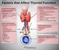 7 Signs Of An Underactive Thyroid Drjockers Com In 2020 Thyroid Function Healthy Thyroid Thyroid Problems