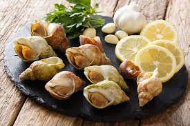 Come pulire le lumache di mare. Lumache Di Mare Come Si Puliscono Ecco I Suggerimenti Utili Agora Notizie