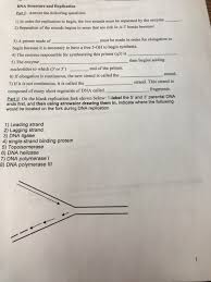 Nucleotide deoxyribose phosphate group base pair hydrogen bond nitrogenous base directions: Dna Structure And Replication Part I Answer The Chegg Com