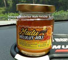 Medical service in shah alam, malaysia. Madu Kelulut