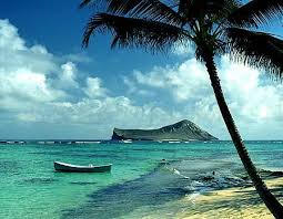 Oahu Hawaii Rabbit Island Hawaii Beaches Places To Go Dream Vacations