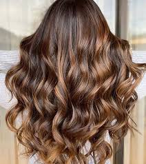 Make like olivia palermo, whose hair starts with a deep chocolate brown color and slowly transitions to chestnut at the ends. Chestnut Brown Hair Color Ideas Formulas Wella Professionals