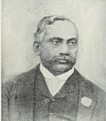 Hoots from the Archive