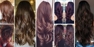 Brown Hair Color Styles Ideas Matrix