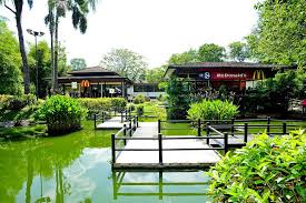 # foursquare © 2021 lovingly made in nyc, chi, sea & la. Mcdonald S Ridout Tea Garden Outlet Will Shutter After 32 Years Campus Sg Campus Magazine