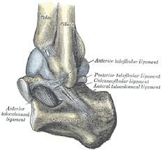 While factors like what your pain feels like—stabbing, burning, or cramping, and so on—can provide insight, oftentimes, a detailed physical examination and/or an imaging test are needed to clinch the diagnosis. Foot Ankle Anatomy Pictures Function Treatment Sprain Pain
