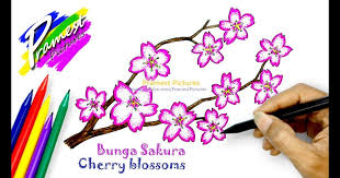 Check spelling or type a new query. 34 Sketsa Bunga Lamtoro How To Draw Cherry Blossoms Flower Coloring Pages For Kids Download Black P Sketsa Bunga Gambar Bunga Mudah Halaman Mewarnai Bunga