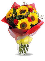 Spedire fiori online direttamente a cassola è possibile oggi farlo con i fioristi e fiorai presenti su le fiorerie che aderiscono al portale di commercio elettronico floracom oppure possiedono un loro sito di commercio elettronico. Fioraio Online Che Consegna Fiori A Domicilio In Tutto Il Mondo