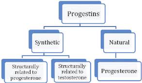 Image result for Pregnane Progestin