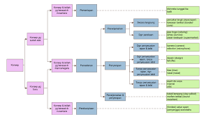 Pembudidayaan buah dewi cinta yang bermanfaat untuk kehidupan masyarakat pacet. Pedoman Umum Pembentukan Istilah Wikisource Bahasa Indonesia
