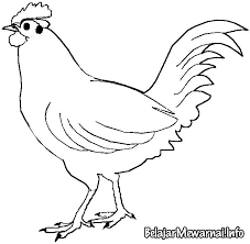 Untuk mempersingkat waktu berikut ini beberapa 15 paling keren gambar ayam lucu kartun yang pastinya keren dan bermakna. Muat Turun Himpunan Contoh Gambar Mewarna Ayam Jantan Yang Hebat Dan Boleh Di Cetakkan Dengan Mudah Gambar Mewarna