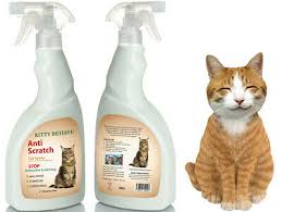How to keep your cat from scratching your home furniture. Kitty Behave Stop Cat Scratching Spray Furniture Carpets Wallpaper 500ml Ebay