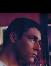 David Lincoln Nelson Fields