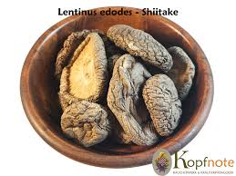 Image result for Lentinus edodes