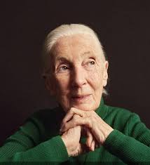 Tribute to a philanthropic person