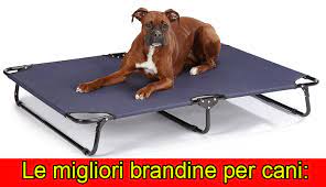 Migliori brandine per cani classifica di marzo 2021 / puoi realizzare una brandina anche con ciò che trovi in casa:. ØªÙ†Ø³ ÙŠØ´ØªØ±Ù‰ Ù…Ø³Ø¯Ø³ Brandine Per Cani Di Taglia Grande Amazon Dsvdedommel Com