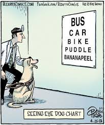 Optometrist Hashtag On Twitter Optometry Humor Dog Chart Bizarro Comic