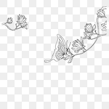 Black and white spring flowers on transparent background. Magnolia Flower Black And White Decoration Free Buckle Flower Clipart Black And White Magnolia Flower Line Drawing Png Transparent Clipart Image And Psd File In 2021 Flower Line Drawings Flowers Line