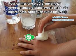 Sur le net ils ne parlent que de lhomeopathie mais s'il existe qch de plus efficace je prends ! Le Remede Magique Pour Soigner N Importe Quelle Piqure D Insecte
