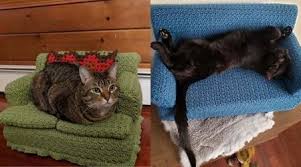 Stitched in durable red heart super saver, this couch is worked in a textured griddle. Look At These Tiny Crochet Couches For Your Cat They Re So Adorable You Ll Die
