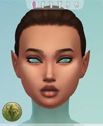 Should I upload custom eyelashes and eyeliner tattoos to the gallery?