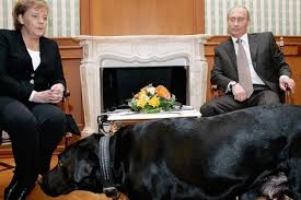 It operates in html5 canvas, so your images are created instantly on your own device. That Time Putin Terrified Merkel With His Dog And Other Reasons They Won T Get Along At G20 Summit South China Morning Post