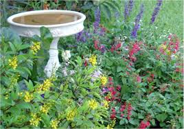 Butterfly Garden Google Images Butterfly Garden Design Florida Native Plants Backyard Garden Design