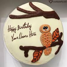 Owl Happy Birthday Cake Free Download Name Generator Aniversario